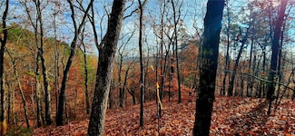 561 Parable Ct, Ranger, GA 30734