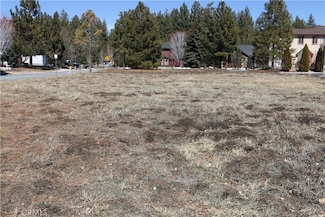 275 Meadow Cir N, Big Bear Lake, CA 92315
