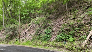 Lot 27 Black Walnut Flats Rd, Sevierville, TN 37862