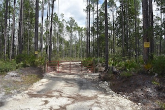 0 NE 130th Ave Unit MFROM691980, Fort McCoy, FL 32134