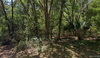8399 N Joiner Way, Dunnellon, FL 34434