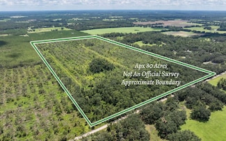 80 AC 161st Rd, Live Oak, FL 32060