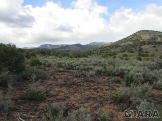 TBD Purdy Mesa Rd, Whitewater, CO 81527