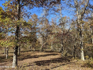 201 Old Ridge Rd, Kingston, TN 37763