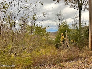 00 Schelley Rd, Gainesboro, TN 38562