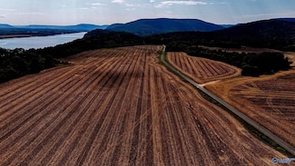 1078 McCutcheon Loop Rd, Laceys Spring, AL 35754