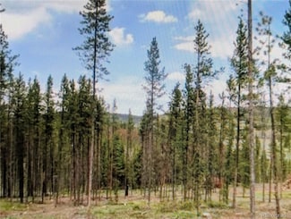 337 County Road 5221 Unit 5, Tabernash, CO 80478