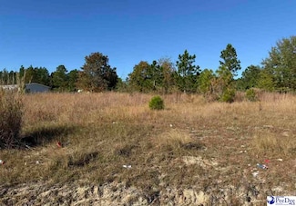 Lot 70 Murray Ln, McBee, SC 29101