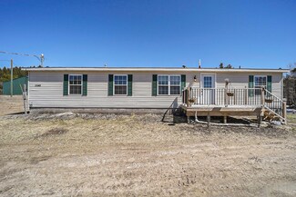 11145 Frankie Ln SW, Fife Lake, MI 49633