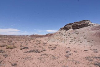 347 Painted Desert Ranches --, Sun Valley, AZ 86029