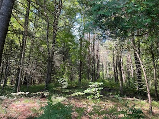 0 County Route 47, Winthrop, NY 13697