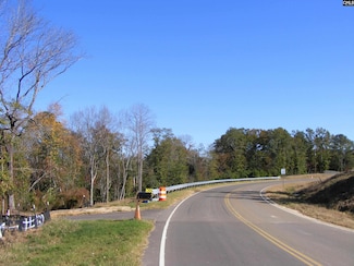 149 Branham Branch Rd, Swansea, SC 29160