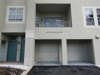 713 Cruise View Dr, Tampa, FL 33602