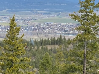 Lot 26 Bighorn Loop, Plains, MT 59859