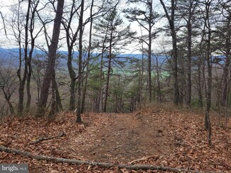0 Lightning Ln, Fulks Run, VA 22830