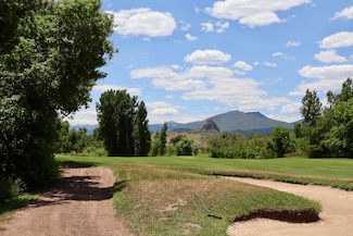 0 Grandote Golf and Country Club Unit Lot 7 25-231, La Veta, CO 81055