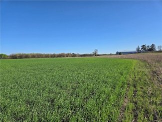 16.74 acres County Rd S, Wheeler, WI 54772