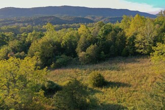 0 Brocks Gap Rd Unit 646328, Fulks Run, VA 22830