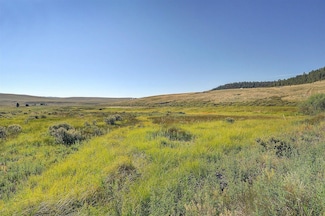 1245 Badger Creek Rd, Hartsel, CO 80449