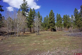 27 TBD Road 36 5, Mancos, CO 81328