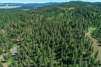Lot 34 Southpine Dr Unit 34, New Meadows, ID 83654