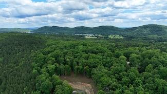0 Colvin Springs Rd Unit 23524028, Ashville, AL 35953