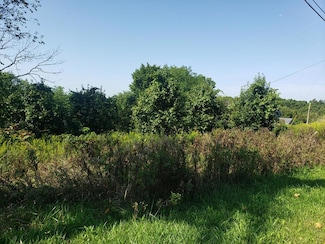 0 Coventry Rd, Valley Grove, WV 26060