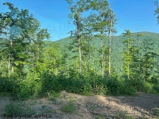 TBD Cheat Valley Hwy, Parsons, WV 26287