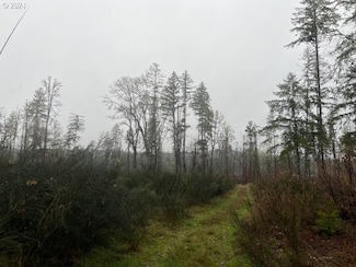 0 Tl 00601 Unit 24049674, Veneta, OR 97487