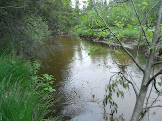 0 Spikehorn Trail Unit 201835387, Indian River, MI 49749