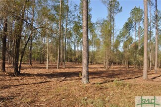 0 Bulloch Bluff Dr Unit Lot 23 170982, Brooklet, GA 30415