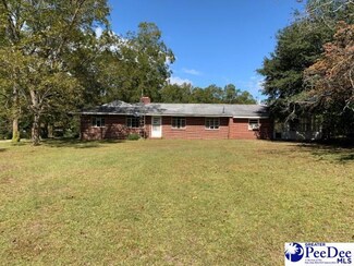 360 Spigner Ln, Johnsonville, SC 29555
