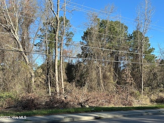 1507 N Berkeley Blvd, Goldsboro, NC 27534