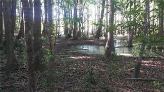 217 Wb Rogers Rd, Tallahassee, FL 32304