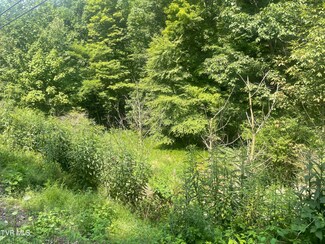 TBD Highway 19 E, Hampton, TN 37658