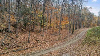 1329 Zink Rd, Wilson Township, MI 49712