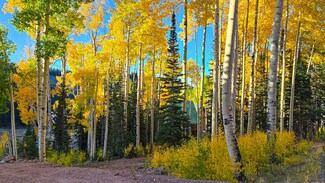 0 Elk Meadows Rd Unit Parcel 2 109040, Beaver, UT 84713