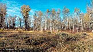 1734 Headwall Loop, Driggs, ID 83422