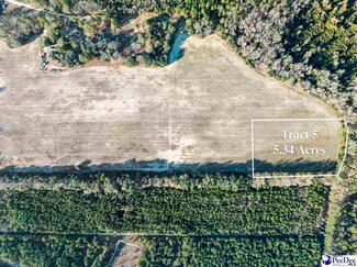 5.34 Acres Tract 5 Off Flinn Rd, Manning, SC 29102