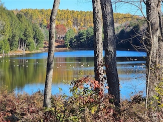 376 Larchwood Ln, Laurens, NY 13796