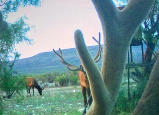 SD 45200 County Road 450, Rocksprings, TX 78880