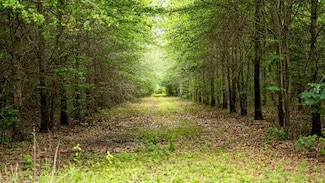 10401 Rl Thomas Rd, Bastrop, LA 71220