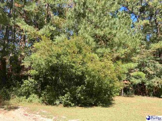 TBD Old Kemper Rd, Lake View, SC 29563