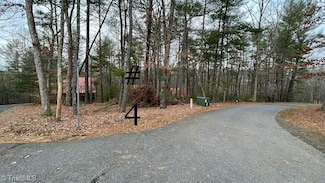 Lot 4 Reserve Trail, Stuart, VA 24171