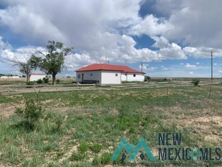 100 Old French Rd, Springer, NM 87747