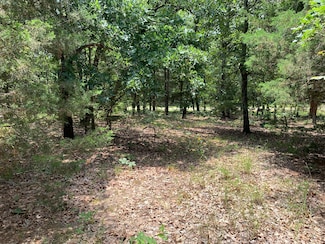 0 Tbd Cr 1503, Athens, TX 75751
