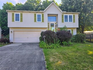19631 Thornridge Ave, Cleveland, OH 44135