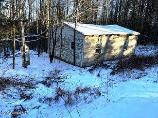462 Robinson Rd, Gilboa, NY 12076