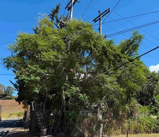 1669 Makawao Ave, Makawao, HI 96768