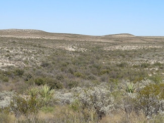 Indian Water Hole Ranch Tract 30, Dryden, TX 78851